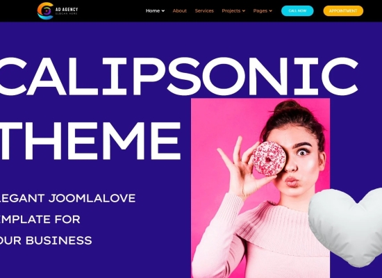 Calipsonic IT Solutions Technology  Template