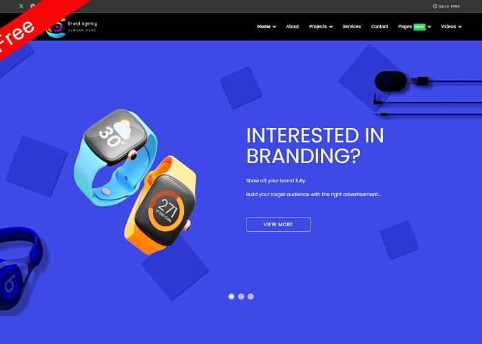 Colibric Brand Portfolio Free Template